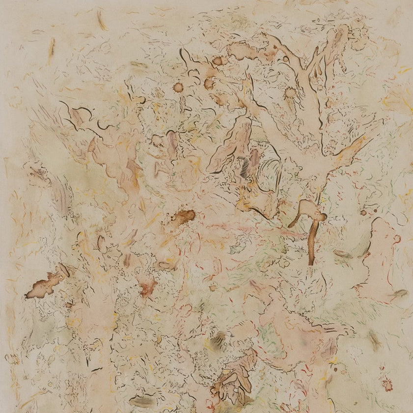 Forest & Flora By Cardon Le Barbier