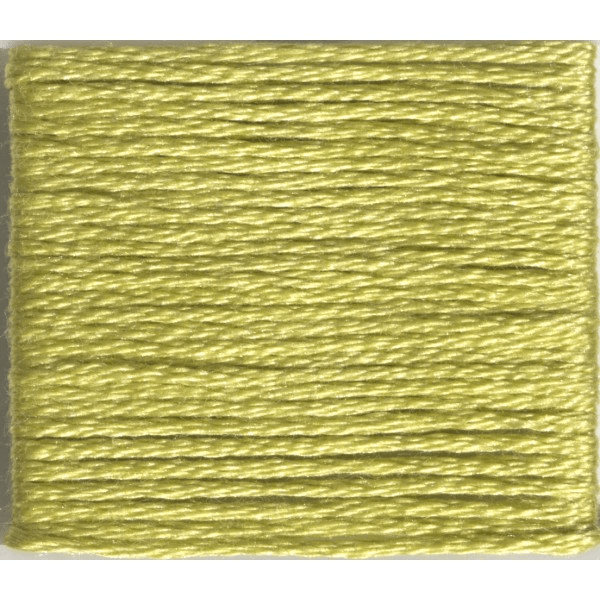 Avocado 472