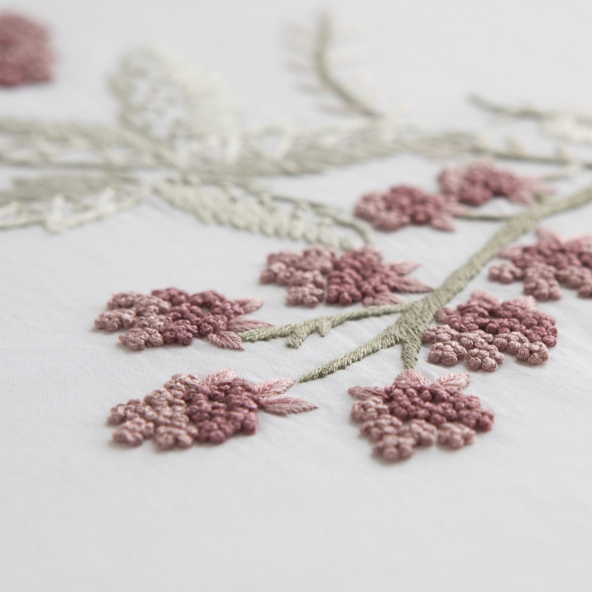 Fraises Des Bois-Julia B. Casa