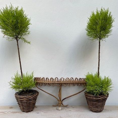 Wicker Shelf - Azalea-Julia B. Casa